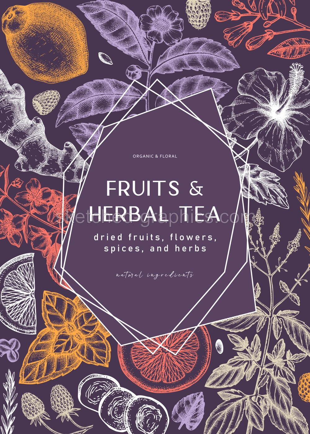 Hand sketched herbal tea ingredients frame. Vintage herbs, leaves, flowers, fruits hand drawings design. Perfect for recipe, menu, label, packaging. Herbal tea template. Botanical illustration. Illustration
